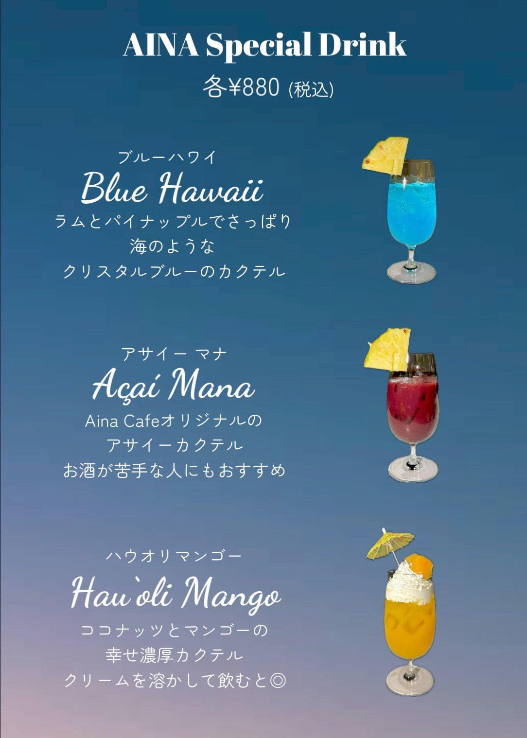 AINA DINNER 3